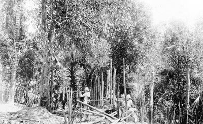 British Troops Fighting in the Burmese Jungle by English Photographer